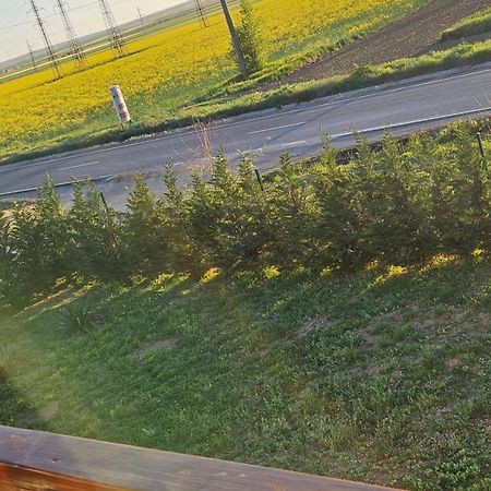 Pensiunea Camelia Baia Buitenkant foto