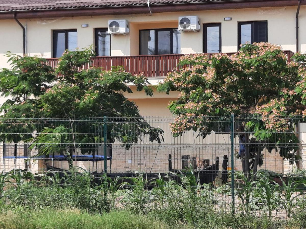 Pensiunea Camelia Baia Buitenkant foto
