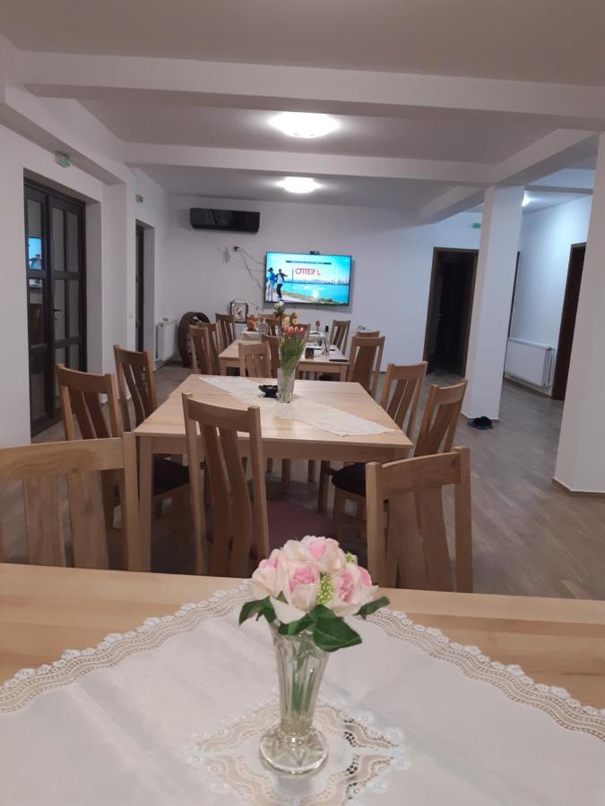 Pensiunea Camelia Baia Buitenkant foto