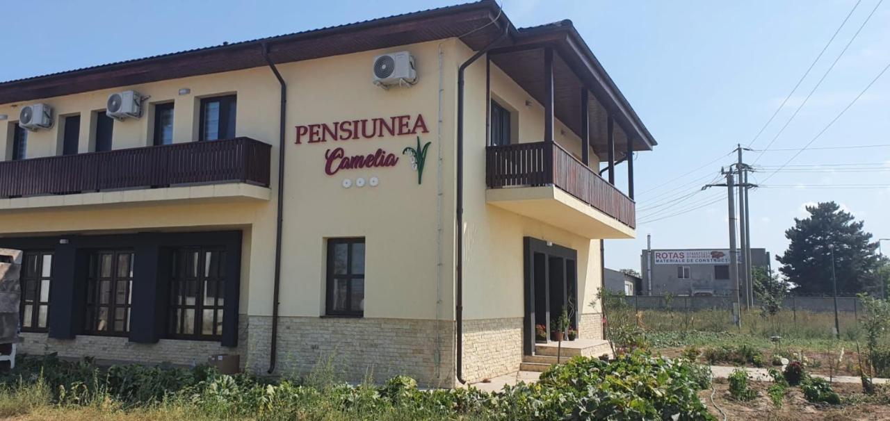 Pensiunea Camelia Baia Buitenkant foto