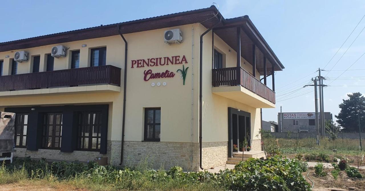 Pensiunea Camelia Baia Buitenkant foto