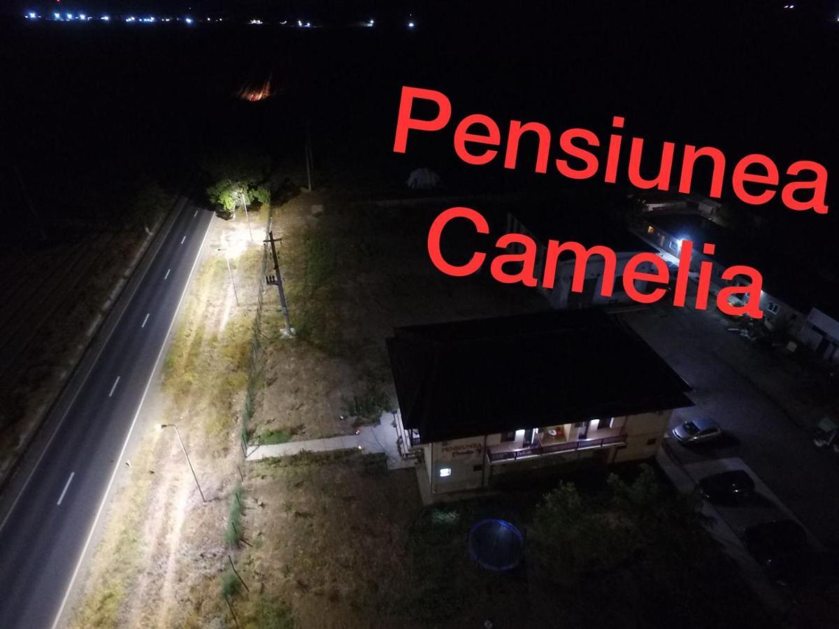 Pensiunea Camelia Baia Buitenkant foto