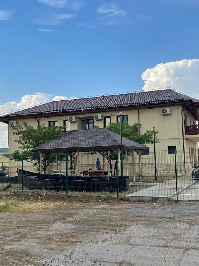 Pensiunea Camelia Baia Buitenkant foto