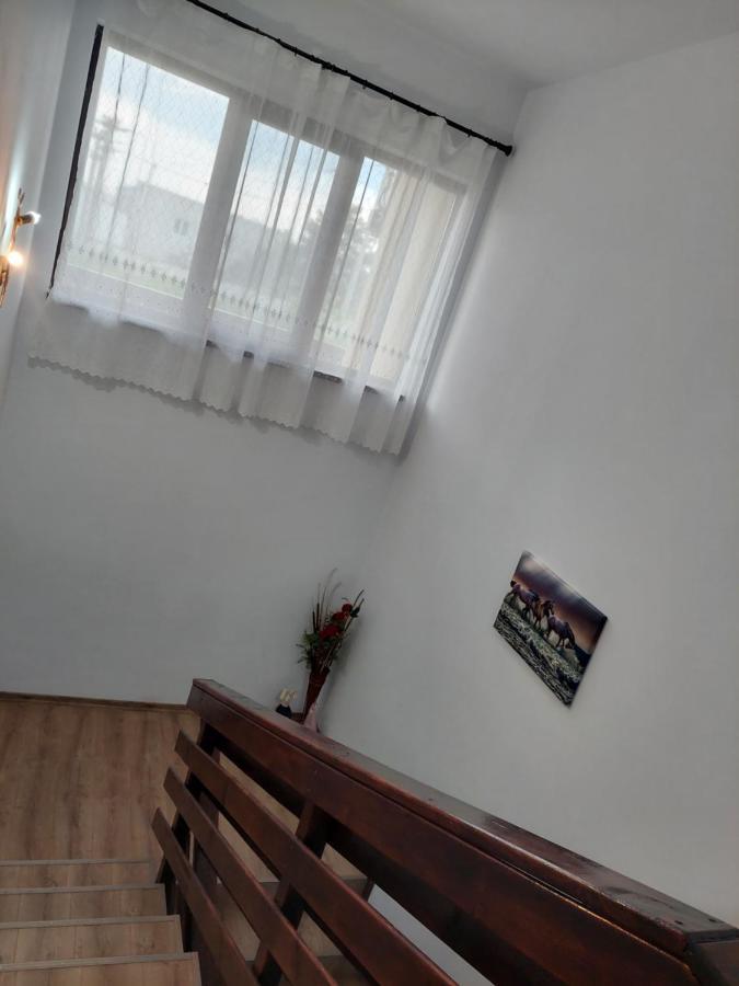 Pensiunea Camelia Baia Buitenkant foto