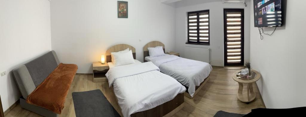 Pensiunea Camelia Baia Buitenkant foto
