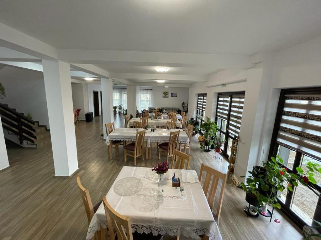 Pensiunea Camelia Baia Buitenkant foto